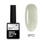 NAILS OF THE DAY Гель-лак Korean cat eye №01 НФ-00019735 Италия 10 ml