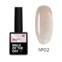 NAILS OF THE DAY Гель-лак Korean cat eye №02 НФ-00019736 Италия 10 ml