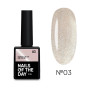 NAILS OF THE DAY Гель-лак Korean cat eye №03 НФ-00019737 Италия 10 ml