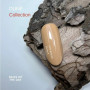 NAILS OF THE DAY Гель-лак Let's special DUNE/5 НФ-00019093 Украина 10 ml