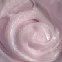 NAILS OF THE DAY Poly Gel shimmer №02 u0000016291 Украина 30 ml