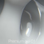 NAILS OF THE DAY Premium №01 u0000016341 Украина 30 ml