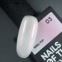 NAILS OF THE DAY Top NAILSOFTHENIGHT Shell №03 u0000017193 Украина 10 ml