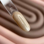 Saga Profesional Гель-лак Кошачий глаз GLOW CAT №07 9762881 Украина 9 ml