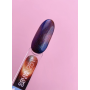 LUNA moon Гель-лак №251 Cat Eye 047-3920 Украина 13 ml