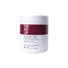 Маска для окрашенных волос COLOR LOCK 0303 TREND-UP Италия 1000 ml