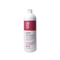 Шампунь для всех типов волос EVERYTHING 0310 TREND-UP Италия 1000 ml