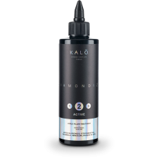 KALO филлер глубокого действия №2 LORUX FILLER TREATMENT ACTIVE DI1108 Италия 200 ml KALO филлер глубокого действия №2 LORUX FILLER TREATMENT ACTIVE DI1108 Италия 200 ml