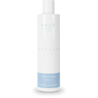 Шампунь KALO Зволожуючий для сухого та зневодненого волосся HYDRATING SHAMPOO KH1302 Італія 300 ml