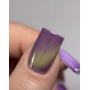 Saga Profesional Гель-лак Кошачий глаз SMOOTHIE CAT №02 SMC-02 Украина 10 ml
