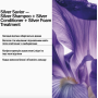 Шампунь Keune CARE Шампунь Серебряный блеск Silver Savior Shampoo 21559 Голландия 80 ml