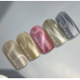 NAILS OF THE DAY Гель-лак Korean cat eye №09 НФ-00020862 Италия 10 ml